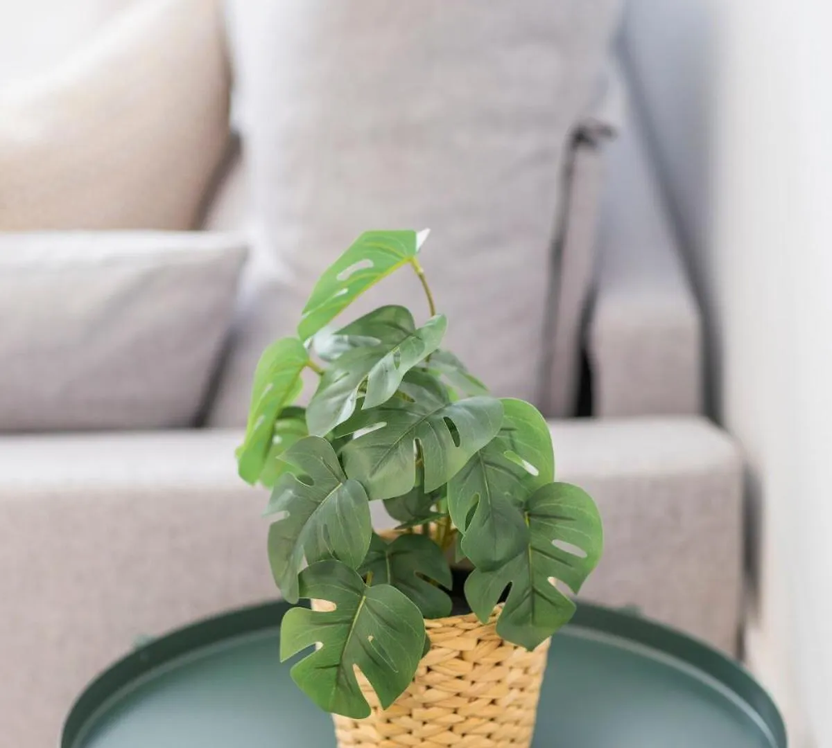 Bhost - Iceberg Apartment Tarifa Spain